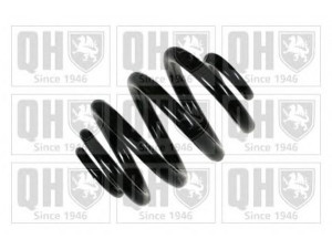 QUINTON HAZELL QCS8260 spyruoklė 
 Pakaba -> Spyruoklės
7J0 511 115 E