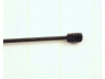 dujinė spyruoklė, bagažinė