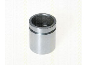 TRISCAN 8170 233865 stūmoklis, stabdžių apkaba