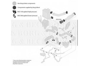 BORG & BECK BTH1096 kompresoriaus padavimo žarna 
 Išmetimo sistema -> Turbokompresorius
1J0145834A, 1J0145834A, 1J0145834A