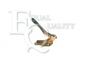 EQUAL QUALITY C00017 lankstas, gaubtas 
 Kėbulas -> Transporto priemonės galas -> Gaubtas/dalys/garso izoliacinė medžiaga
96304580