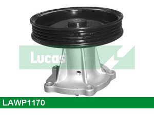 LUCAS ENGINE DRIVE LAWP1170 vandens siurblys 
 Aušinimo sistema -> Vandens siurblys/tarpiklis -> Vandens siurblys
25188341, 25191167, 96416294