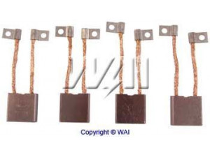 WAIglobal PLSX4 anglies šepetėlis, kint. sr. generatorius