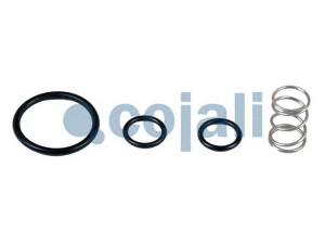COJALI 6012246 remonto komplektas