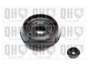 QUINTON HAZELL EMR6014 pakabos statramsčio atraminis guolis 
 Ašies montavimas/vairavimo mechanizmas/ratai -> Montavimas, pakabos statramstis
54325-00QAA, 7700829529