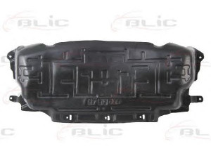 BLIC 6601-02-3548880P variklio dangtis 
 Variklis -> Variklio dangtis
906 520 0023, 9065200023