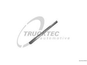 TRUCKTEC AUTOMOTIVE 02.52.136 apdailos/apsauginės juostelė, durelės
202 690 3162