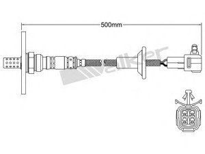 WALKER PRODUCTS 250-24281 lambda jutiklis 
 Variklis -> Variklio elektra
8946519305