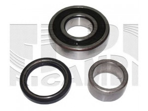 CALIBER RC1344 rato guolio komplektas 
 Ašies montavimas/vairavimo mechanizmas/ratai -> Rato stebulė/montavimas -> Rato guolis
4320050J10