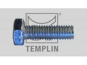 ST-TEMPLIN 18.050.0244.240 varžtas
000933 008153, 914005 008008, 02.5025.30.80