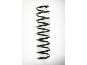 SPIDAN 55093 spyruoklė 
 Pakaba -> Spyruoklės
33 53 1 093 634