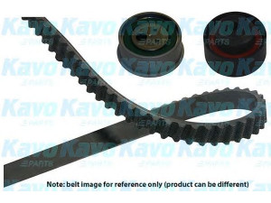 KAVO PARTS DKT-5544 paskirstymo diržo komplektas 
 Techninės priežiūros dalys -> Papildomas remontas
