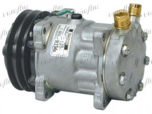 FRIGAIR 920.20046 kompresorius, oro kondicionierius 
 Oro kondicionavimas -> Kompresorius/dalys
1303484, 1864467, 11007314, 11058974