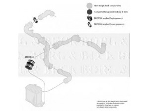 BORG & BECK BTH1144 kompresoriaus padavimo žarna 
 Išmetimo sistema -> Turbokompresorius
1J0145834T, 1J0145834T, 1J0145834T