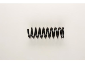 BILSTEIN 36-159581 spyruoklė 
 Pakaba -> Spyruoklės
202 324 13 04