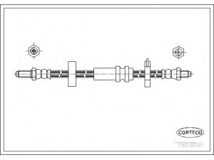 CORTECO 19018591 stabdžių žarnelė 
 Stabdžių sistema -> Stabdžių žarnelės
60536813, 60537428