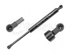 MEYLE 340 160 0111 dujinė spyruoklė, gaubtas 
 Kėbulas -> Dujinės spyruoklės
51 23 8 150 077