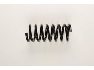 BILSTEIN 36-235209 spyruoklė 
 Pakaba -> Spyruoklės
108 324 02 04