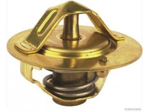 MAGNETI MARELLI 600000046960 termostatas, aušinimo skystis
19200-P08-A01, 4315756, 4316047