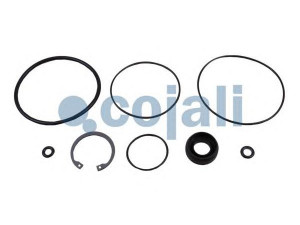 COJALI 6014014 remonto komplektas, greitinimo vožtuvas