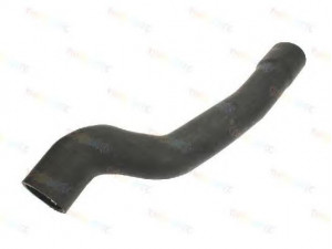 THERMOTEC DCX036TT kompresoriaus padavimo žarna
6302613