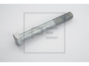 PE Automotive 014.294-00A varžtas
000000 005506, 308765 024015