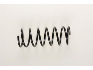 BILSTEIN 36-133222 spyruoklė 
 Pakaba -> Spyruoklės
31 33 1 125 342, 31 33 1 125 343