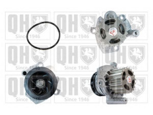 QUINTON HAZELL QCP3623 vandens siurblys 
 Aušinimo sistema -> Vandens siurblys/tarpiklis -> Vandens siurblys
68000693AA, 68000693AB, RX000693AB