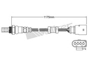 WALKER PRODUCTS 250-24762 lambda jutiklis 
 Variklis -> Variklio elektra
022 906 262 CB, 06F 906 265, 06F906262Q