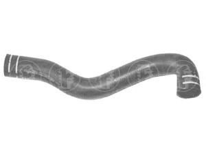 FARE SA 8475 radiatoriaus žarna 
 Aušinimo sistema -> Žarnelės/vamzdeliai/sujungimai -> Radiatoriaus žarnos
46462531