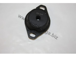 AUTOMEGA 301843095 variklio montavimas
184395, 184395