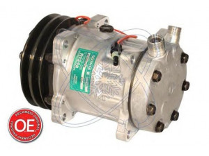 ELECTRO AUTO 20A8104 kompresorius, oro kondicionierius
123-04996, 12304996, 3405689R2R1