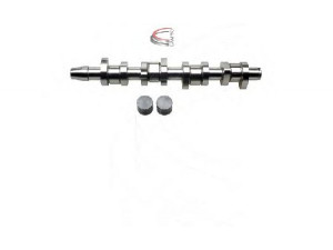 CAMPRO CP60255 skirstomojo veleno komplektas 
 Variklis -> Variklio uždegimo laiko reguliavimo kontrolė -> Skirstomasis velenas
038 109 101 R
