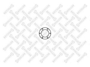 STELLOX 81-65002-SX tarpiklis, įsiurbimo kolektorius
0740737, 1328104, 1364296, 50159010011