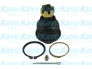 KAVO PARTS SBJ-5504 atramos/vairo trauklė 
 Ašies montavimas/vairavimo mechanizmas/ratai -> Sujungimai -> Atramos/vairo trauklė
MB176309, MB176379, MB24115501