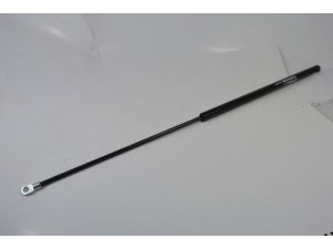 Magnum Technology MGS001 dujinė spyruoklė
81.74821.0095