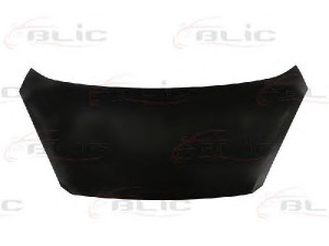 BLIC 6803-00-3266280P gaubtas 
 Kėbulas -> Transporto priemonės galas -> Gaubtas/dalys/garso izoliacinė medžiaga
664001Y000