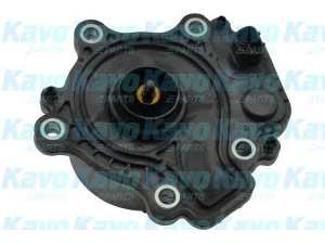 KAVO PARTS TW-6001E vandens siurblys 
 Aušinimo sistema -> Vandens siurblys/tarpiklis -> Vandens siurblys
161A029015, 161A039015