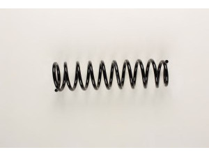 BILSTEIN 36-215034 spyruoklė 
 Pakaba -> Spyruoklės
MR554273