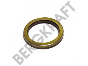 BERGKRAFT BK6120963 veleno sandariklis, diferencialas
40100960, 40100963