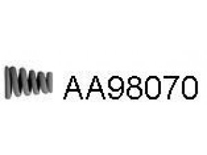 VENEPORTE AA98070 spyruoklė, išmetimo vamzdis
YJ1540582A