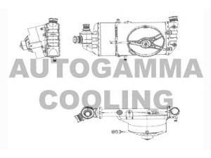 AUTOGAMMA 104357 radiatorius, variklio aušinimas
7670420