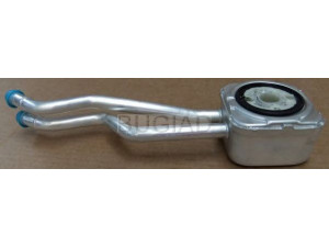 BUGIAD BSP23088 alyvos aušintuvas, variklio alyva 
 Aušinimo sistema -> Radiatorius/alyvos aušintuvas -> Alyvos aušintuvas
036 117 021 G