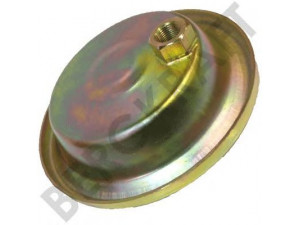 BERGKRAFT BK6120054 apsauginis dangtelis, spyruokle paremta ašis
2997054, 8138327