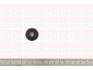 FAI AutoParts SS4542 valdymo svirties/išilginių svirčių įvorė 
 Ašies montavimas/vairavimo mechanizmas/ratai -> Valdymo svirtis/pasukamosios svirties sujungimas -> Montavimas/sutvirtinimas