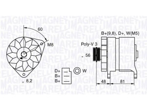 MAGNETI MARELLI 054022598010 kintamosios srovės generatorius 
 Elektros įranga -> Kint. sr. generatorius/dalys -> Kintamosios srovės generatorius
1005396, 1553520, 5022265, 6181359