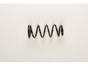 BILSTEIN 36-213290 spyruoklė 
 Pakaba -> Spyruoklės
55020-5M8, 55020-5M810