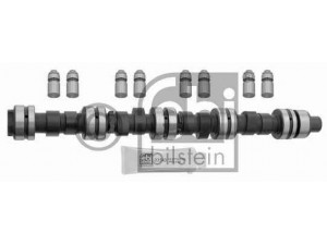 FEBI BILSTEIN 23994 skirstomojo veleno komplektas 
 Variklis -> Variklio uždegimo laiko reguliavimo kontrolė -> Skirstomasis velenas
6 962 416, 6 962 416 S, 6 962 416 S1