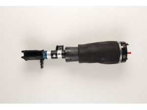 BILSTEIN 45-240690 pneumatinės spyruoklės statramstis
LR012885, LR012886, LR032567