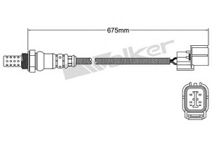 WALKER PRODUCTS 250-24760 lambda jutiklis 
 Variklis -> Variklio elektra
36531 PWE E01, 36531 PWE G01